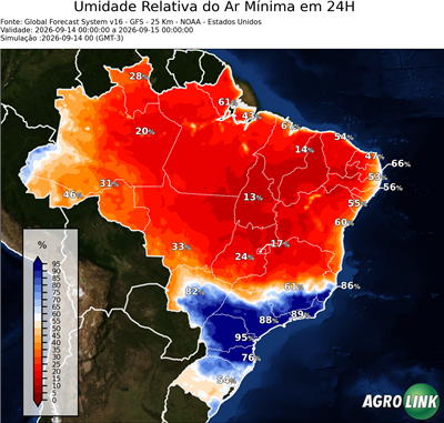 24 horas