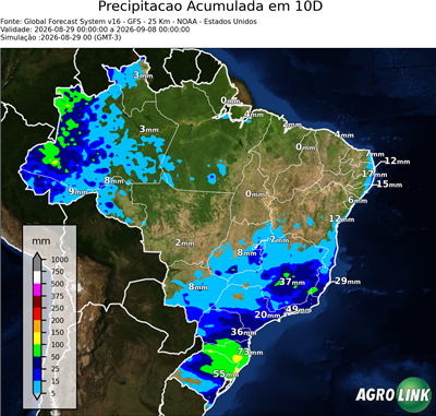10 dias