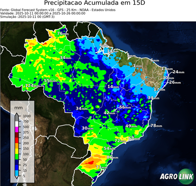 15 dias