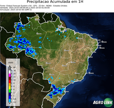1 hora