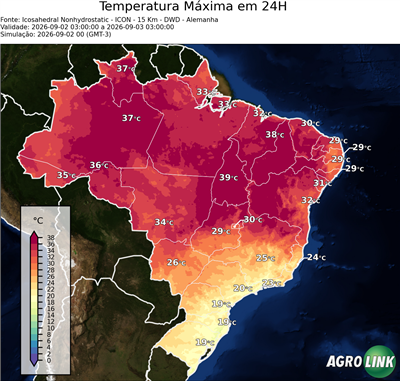 24 horas