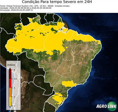24 horas
