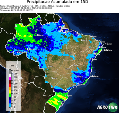 15 dias