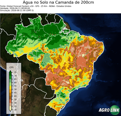 24 horas