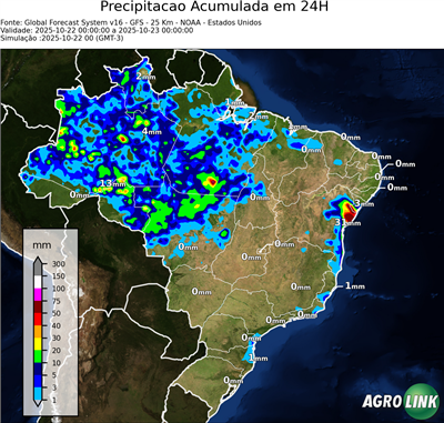 24 horas