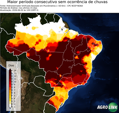 15 dias