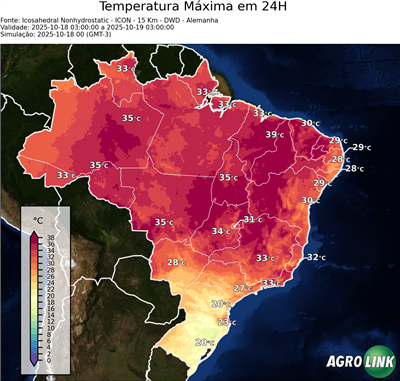 24 horas