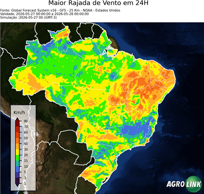 24 horas