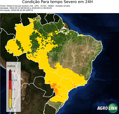 24 horas