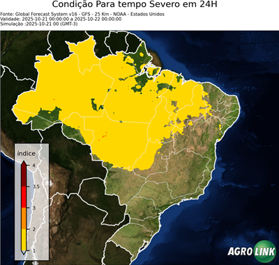 24 horas