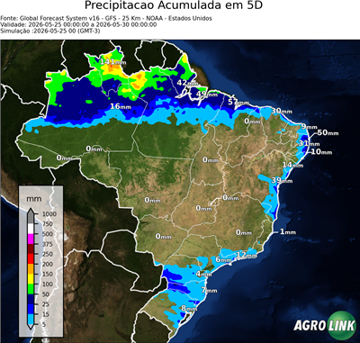 5 dias