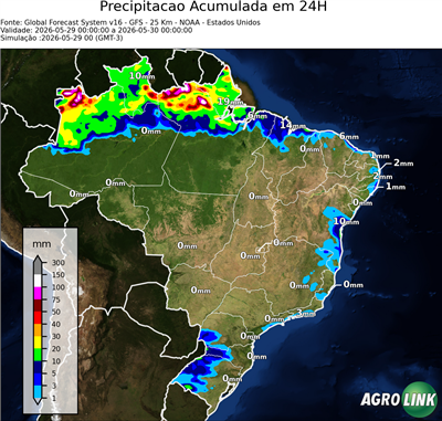 24 horas