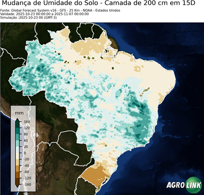 15 dias