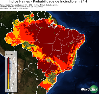 24 horas