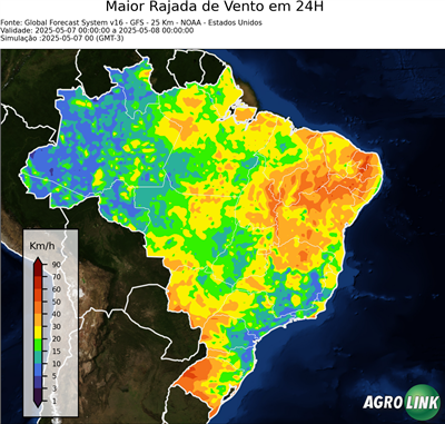 24 horas