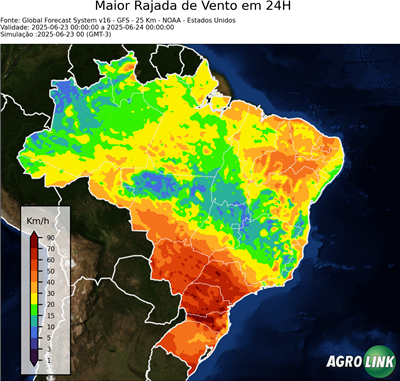 24 horas
