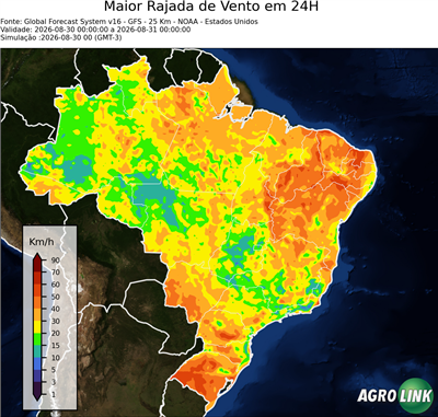 24 horas