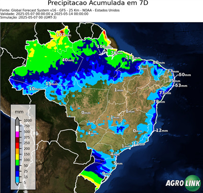 7 dias