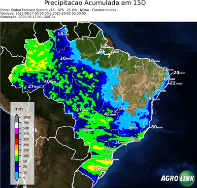 15 dias