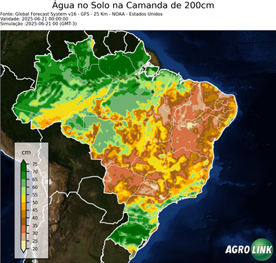 24 horas