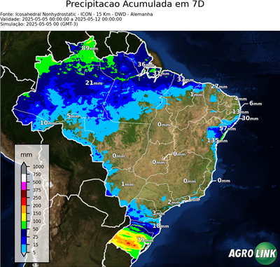7 dias