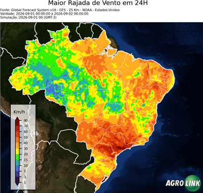 24 horas