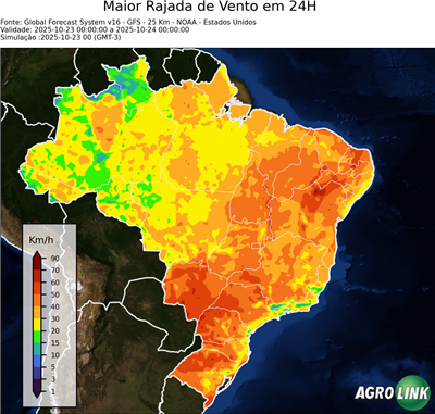 24 horas