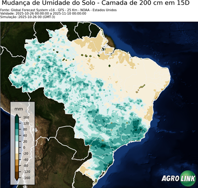 15 dias