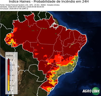 24 horas
