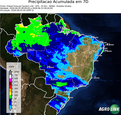 7 dias