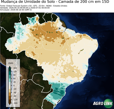 15 dias