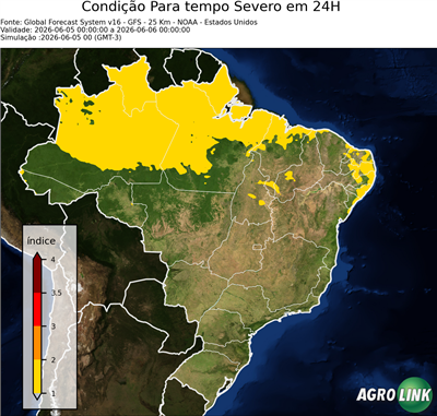 24 horas