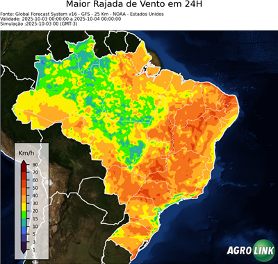 24 horas