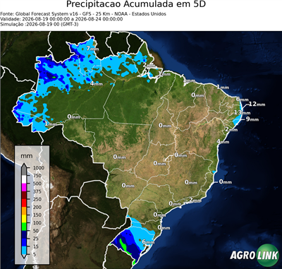 5 dias