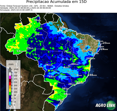 15 dias