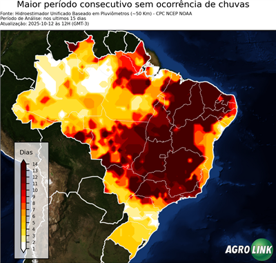 15 dias