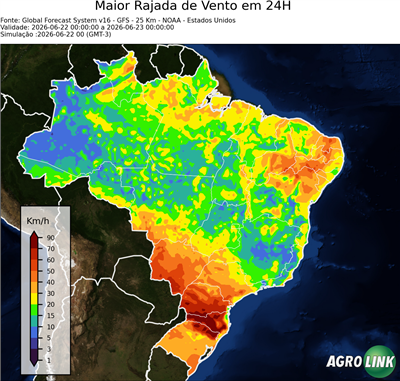 24 horas