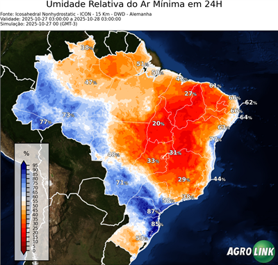 24 horas