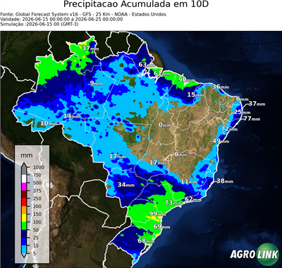 10 dias