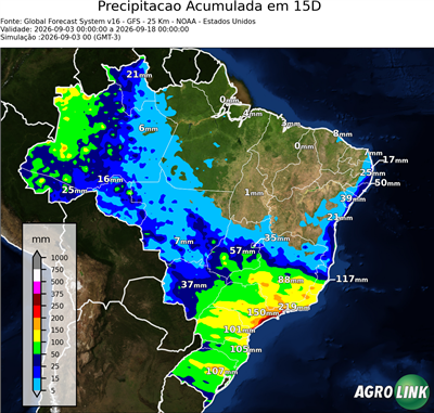 15 dias