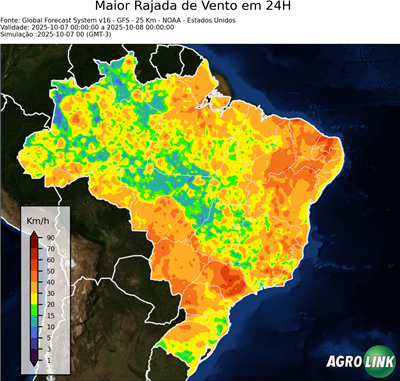24 horas