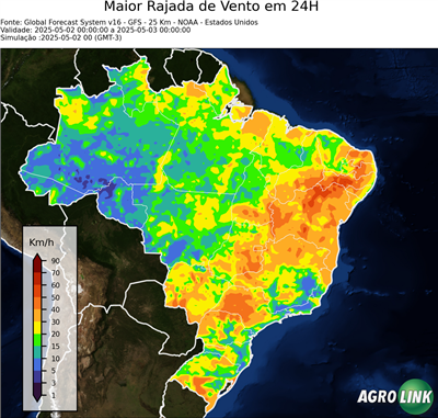 24 horas