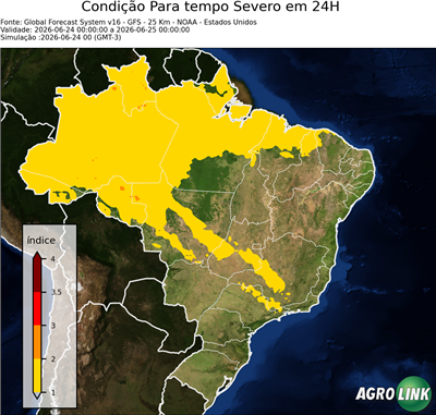 24 horas