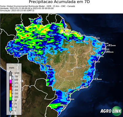 7 dias