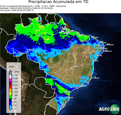 7 dias
