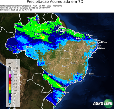 7 dias