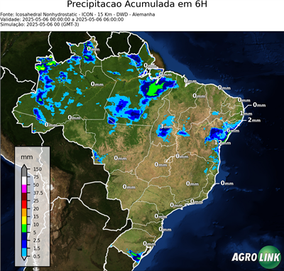 6 horas