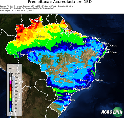 15 dias