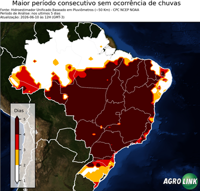 5 dias
