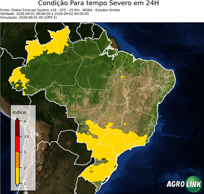 24 horas